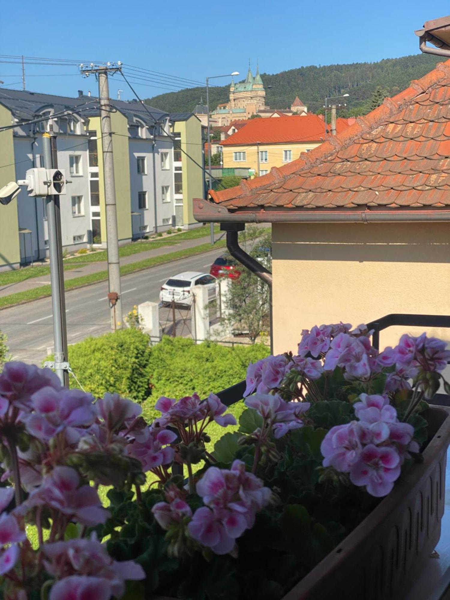 Penzion Бойнице Экстерьер фото